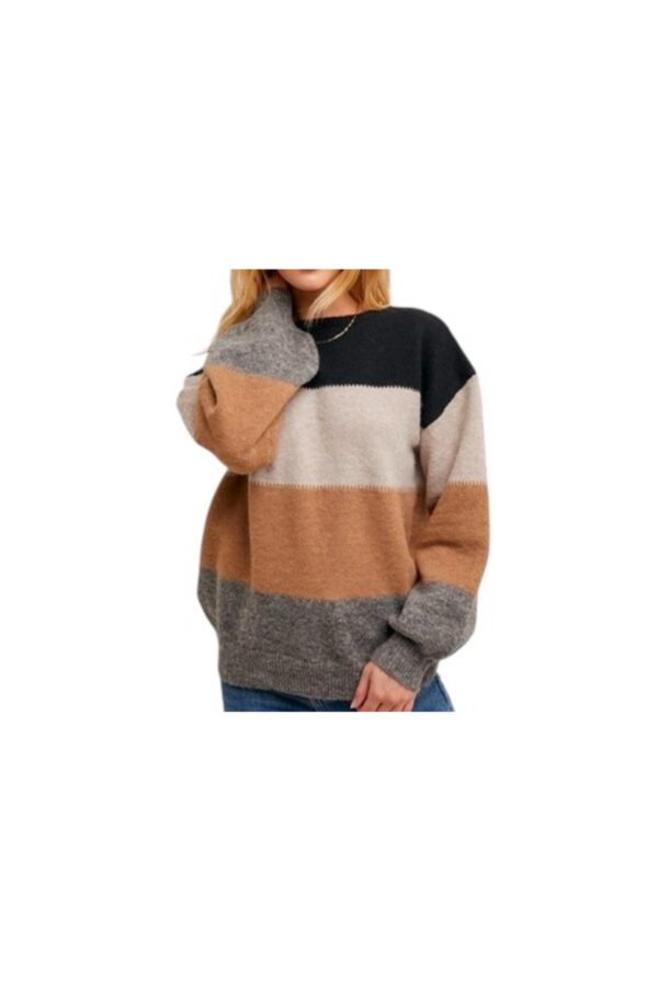 BLUIVY COLOR BLOCK CREW NECK SWEATER